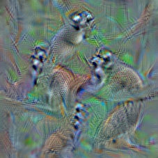 n02497673